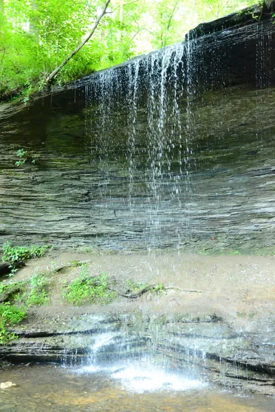 DSC_2853 (Large).JPG